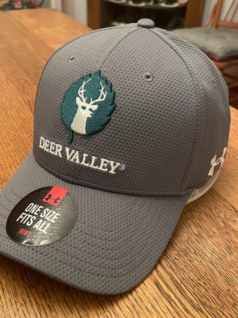 Deer Valley Gray Hook and Loop Baseball Hat Cap by Under Armour New With Tags